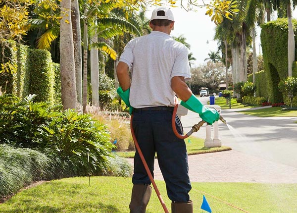 About Otis MA Pest Control Pros